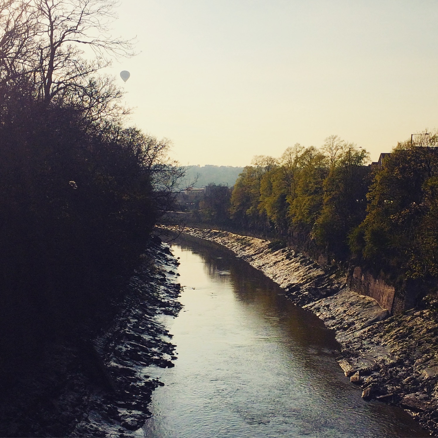 The state of nature report