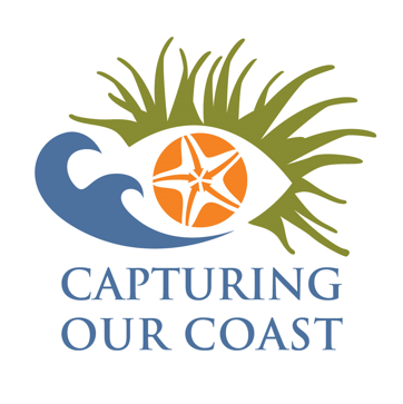 Inspiration:&nbsp;Place-based coastal project with 7 hubs. Experts provide training and volunteers can go out to capture data using different tools around the UK.