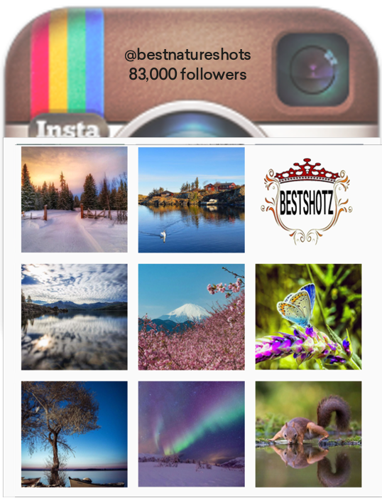 Inspiration: instagram competition.&nbsp;Individuals tag their photos, the account chooses winners and invites other users to congratulate them.&nbsp;