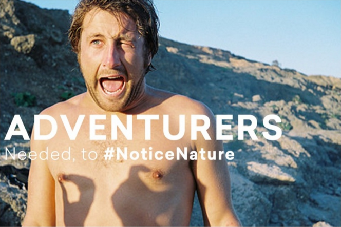 Idea: Building a culture of nature noticing through adventurists.