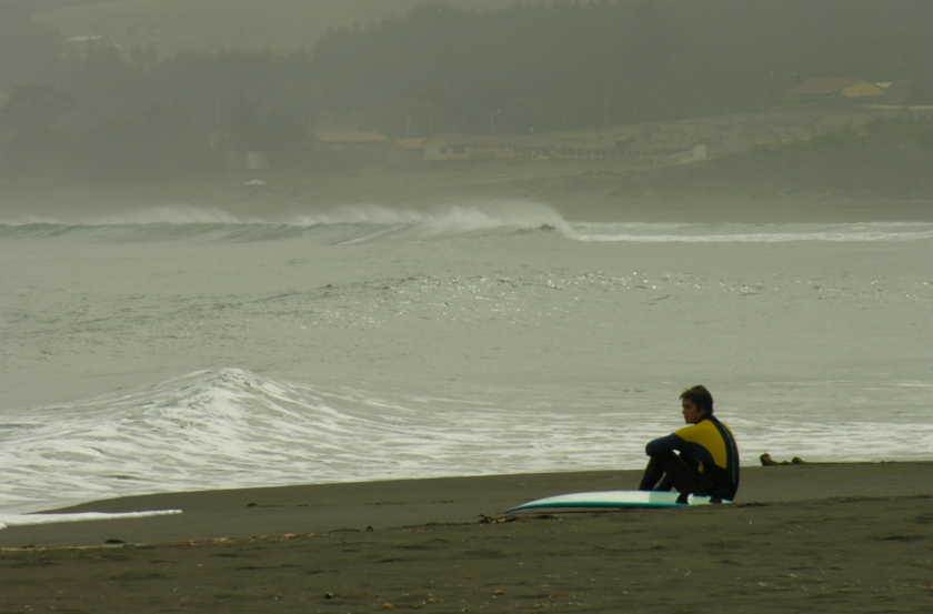Idea: The Waiting Room.&nbsp;Exciting Adventurists into noticing nature in their down time e.g. local species watch-outs, local issue call outs, and place-based photo and story sharing.