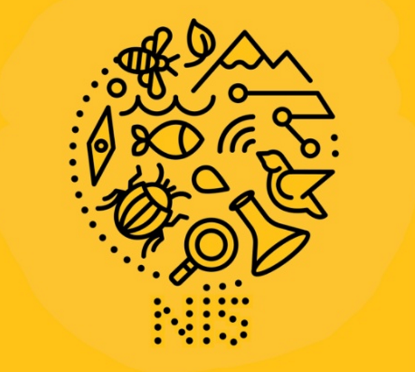 Idea: NI5. The top secret arm of the Nature Intelligence Unit – a collective of young people completing missions to notice and protect nature in their local area.