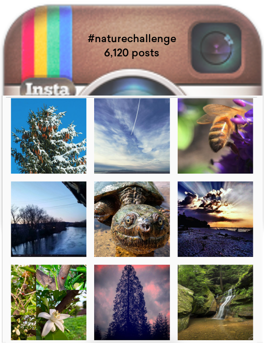 Inspiration:&nbsp;Share 7 pictures in 7 days with #naturechallenge then pass on to a friend.