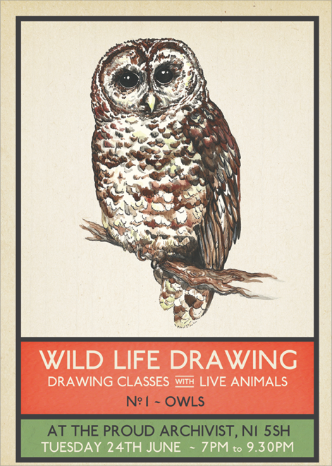 Inspiration:&nbsp;Wildlife drawing classes happening regularly at this very venue. Another way to engage with nature - the aim is to inspire a sense of appreciation and understanding for the animals and their conservation.