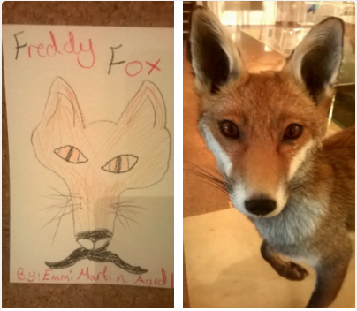 Inspiration:&nbsp;The Derby Museum's co-produced Nature Gallery aims to excite and inspire people to take notice of their ‘own natural world’.&nbsp;