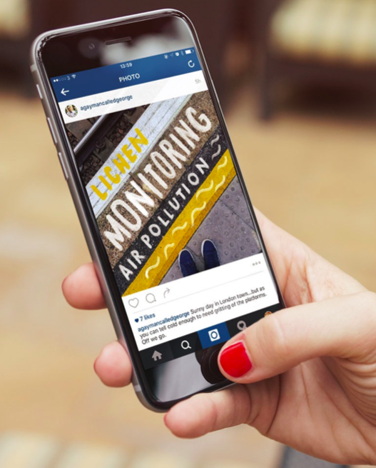 Idea: #NoticeNature.&nbsp;Nature intelligence facts illustrated onto people's Instagram photos.&nbsp;