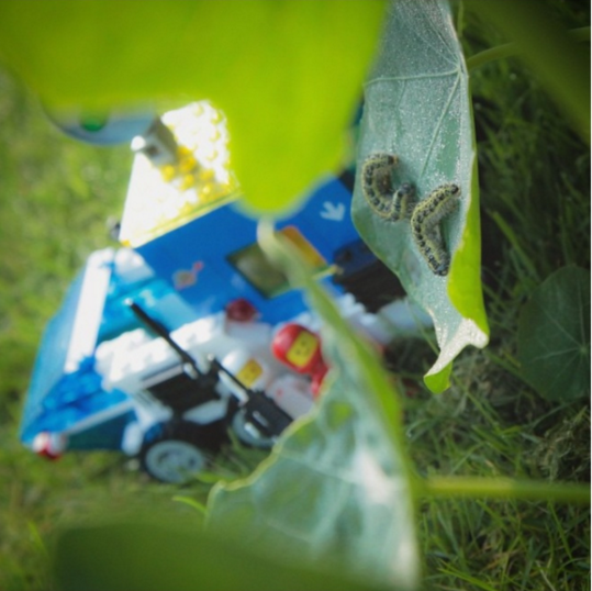 Idea: The Earthonauts.&nbsp;A photo series on Instagram following two lego people from outer space as they explore nature on Earth.