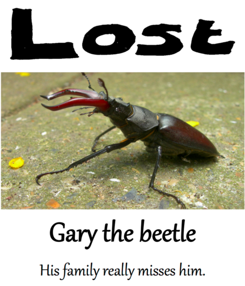 Idea: Lost posters asking the public to join a search to find Gary the Beetle who has gone missing.