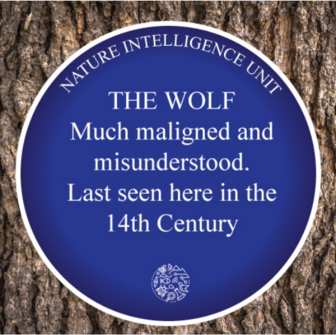 Idea: Blue plaques linking the nature of the past with places of the present.