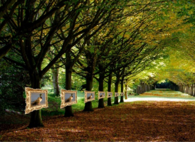 Idea: Natural photographer.&nbsp;An exhibition of nature photos, shot by amateur photographers, displayed in a park.