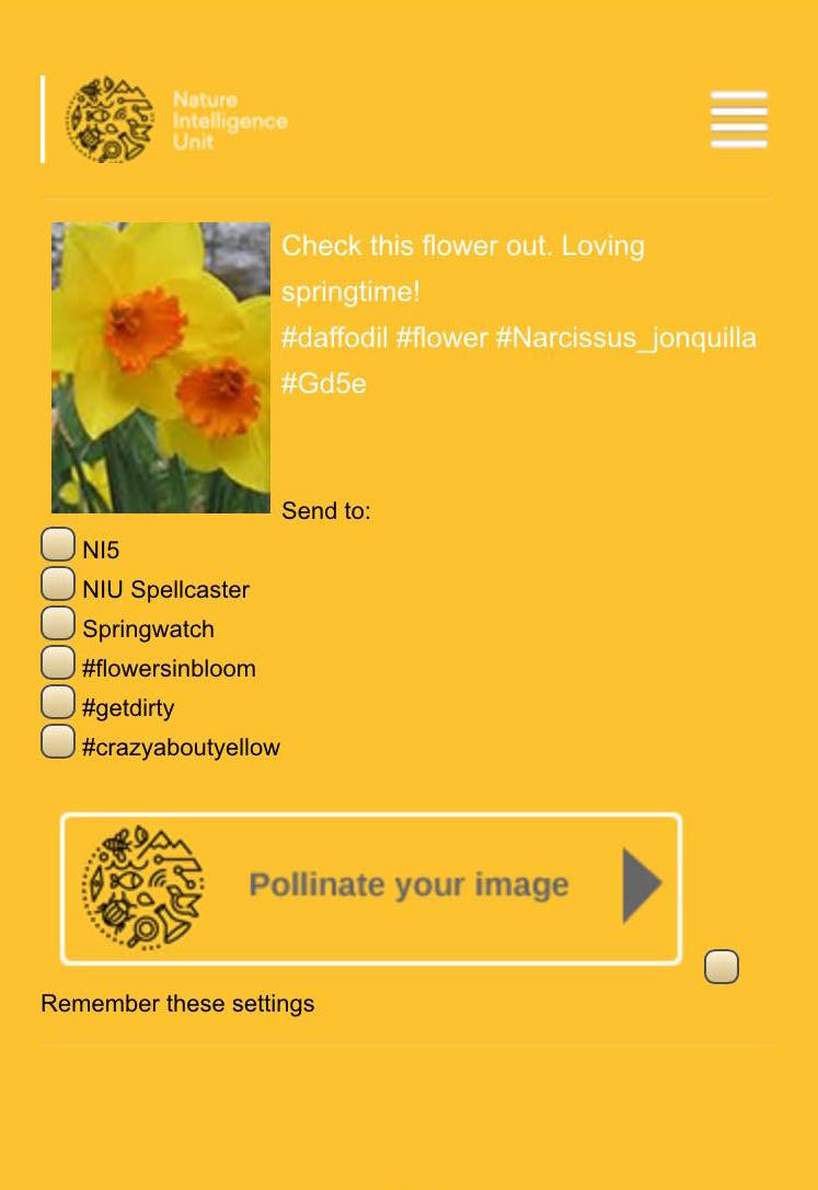 Idea: Picture pollinator.&nbsp;A way to turn every day posts about nature on social media into useful scientific data.